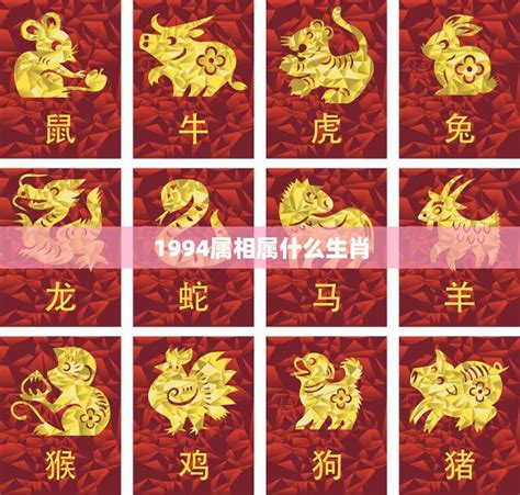 94年生肖|1994年属什么生肖配对 1994年和什么属相最配